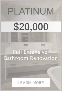 Bathroom Renovation Platinum Package